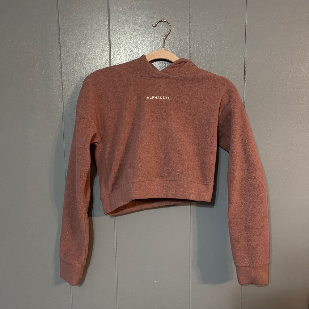 Alphalete Crop Hoodie